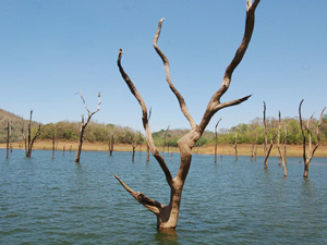 Thekkady