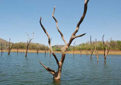 Thekkady 