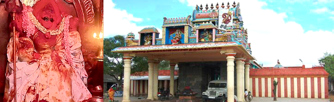 Thillai Kaali Amman kovil