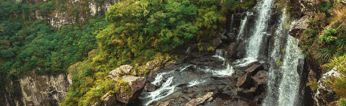 Tiger Fall Chakrata