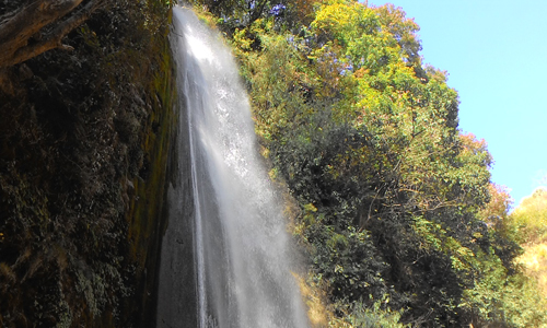 Tiger Fall Chakrata