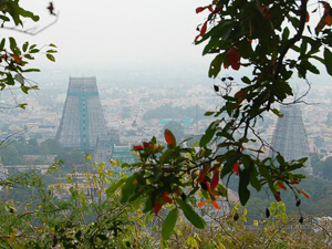 Tiruvannamalai