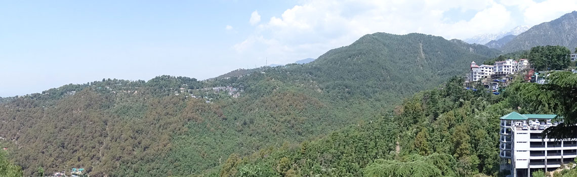 Tsuglagkhang Complex or Dalai Lama Temple