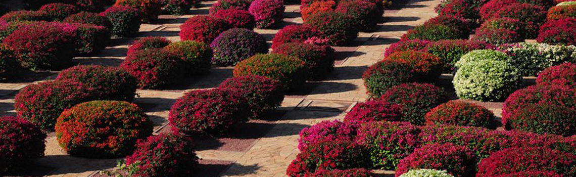 Umaid garden and zoo