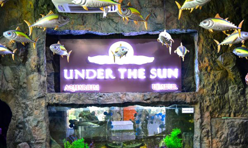 Under The Sun Aquarium