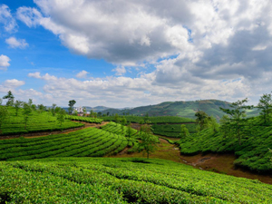 Vagamon