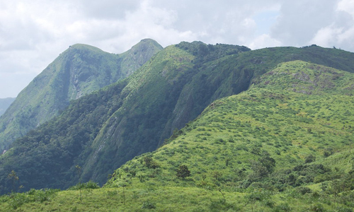 Vagamon Meadows