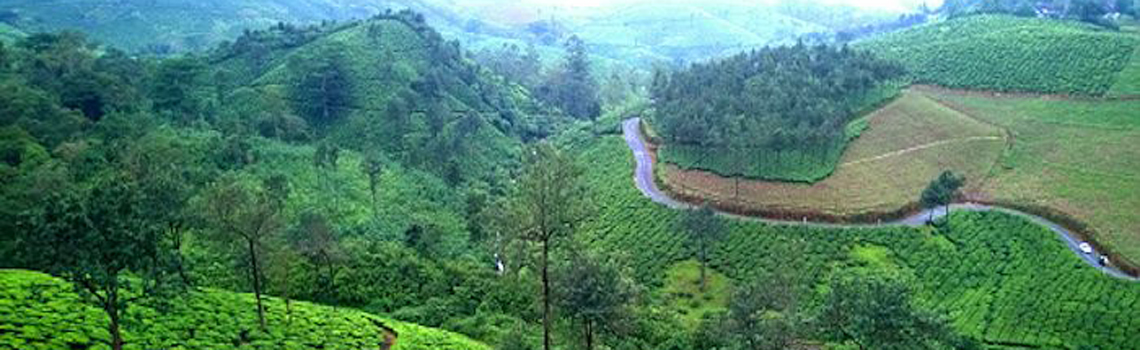 Vagamon Meadows