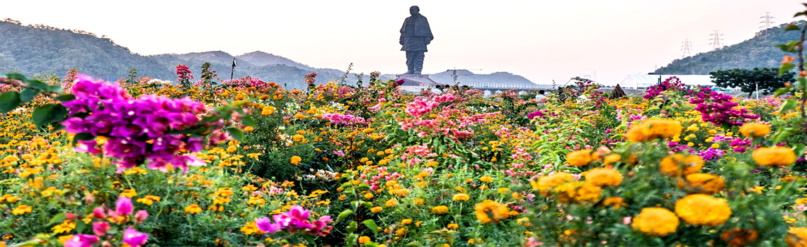 Valley of Flowers