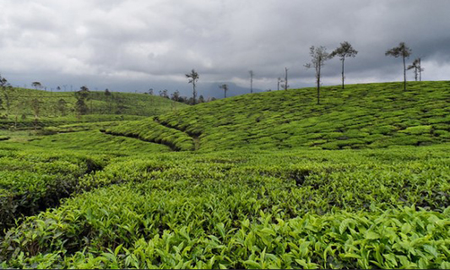 Valparai