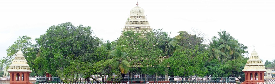 Vandiyur mariamman teppakulam 