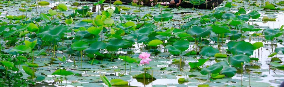 Vellayani Lake