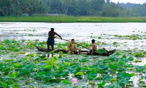 Vellayani Lake