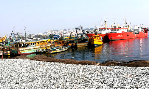 Vizag Fishing Harbour